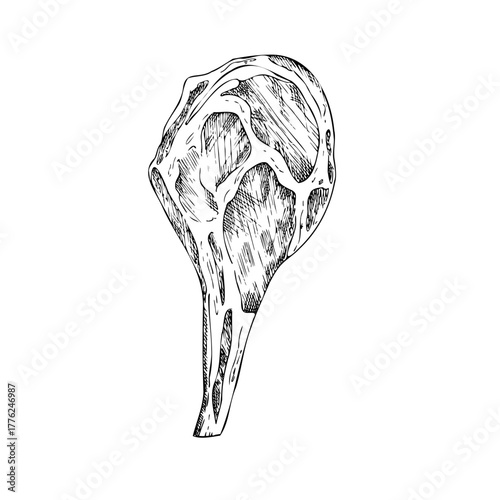 Vector Meat on the ribs. Graphic ink pork or beef illustration, isolated on background. Hand drawn line sketch. For designers, prints, logo, icon, menu, postcards, holiday, covers