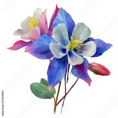 Watercolor illustration of vibrant columbine flower, isolated on a white background, clear edges, botanical clipart style.