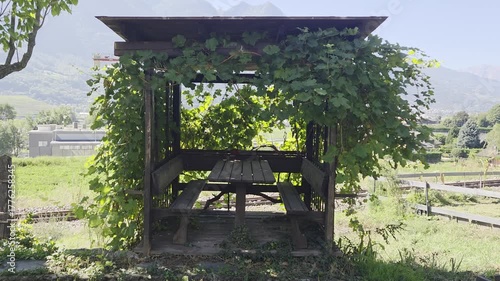 Wooden Gazebo with Picnic Table in Scenic Mountain Landscape