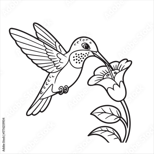 kids’ coloring pages, kids, coloring, pages, Hummingbird in black and white pattern feeding nectar from a flower exhibits transparent background