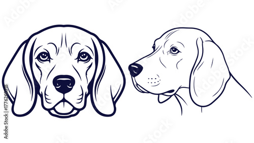 Beagle Front And Side Head Studies, Black And White Line Art Dog Portrait Vector For Scent Hound Education And Labels