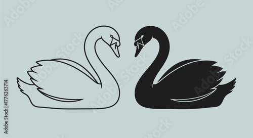 Two swans facing each other, one outlined and the other filled in black, on a light blue background.