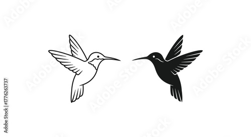 Hummingbird Silhouette Duo - White and Black Flying Icons