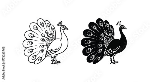 Two stylized illustrations of a peacock with fanned tail feathers, one in outline and one in solid black silhouette.