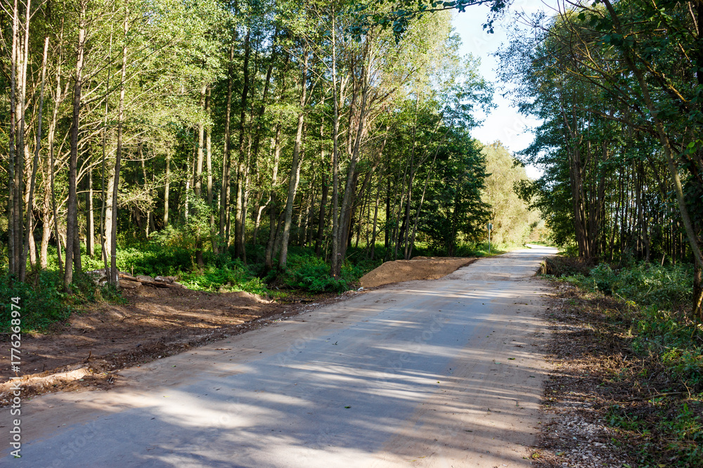 Naklejka premium Quiet forest road winds through vibrant green trees. Sun dappled path shows signs of recent work, a serene journey through nature's embrace