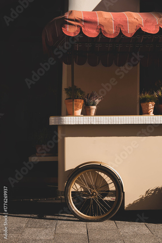 A charming street cart bathed in warm sunlight, adorned with terracotta pots of flowers under a striped awning, evoking a nostalgic and romantic atmosphere.