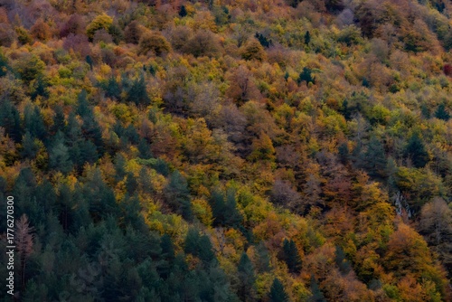 autumn colors in the mountains