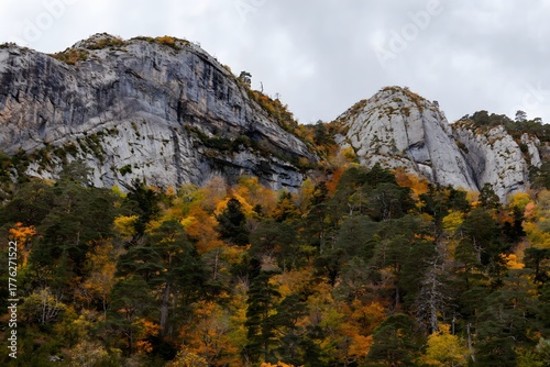 fall in the mountains