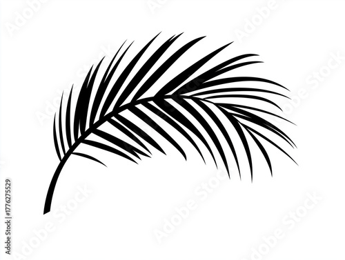 Simple black vector silhouette of a curving coconut palm frond isolated on white background.