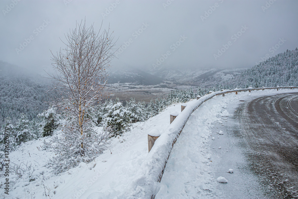 Obraz premium Forest landscape under fresh snow in the south in the French Pyrenees. Camurac in Occitanie in Aude. 