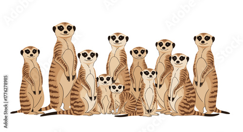 Large, charming family of meerkats standing together in a group, attentively looking forward in a cute cartoon illustration.