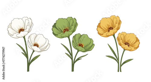 Set of three elegant flower pairs in white, green, and yellow color variations, each with stems and delicate petals.