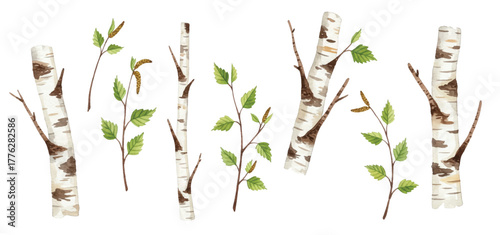 Adobe Illustrator Artwork