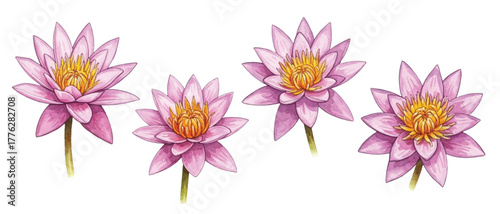 Adobe Illustrator Artwork