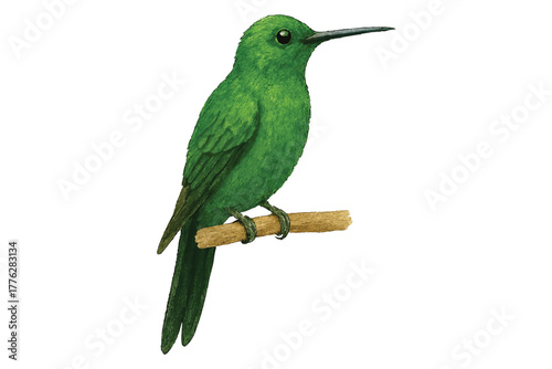 Adobe Illustrator Artwork