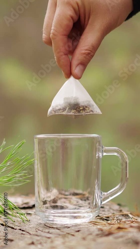 Vertical shot of an empty transparent glass mug on a forest log. A hand drops a fresh herbal teabag inside, creating a peaceful, natural moment of outdoor tea preparation.