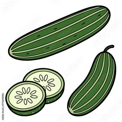 Vibrant cartoon illustration of a fresh green cucumber set, featuring a whole vegetable and cut round slices for healthy food design