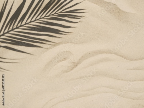 Palm leaf shadow cast over smooth sand, creating a tropical and tranquil beach scene with rippled textures.