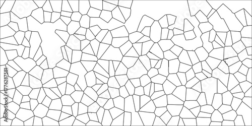 Intricate Black and White Voronoi Diagram Pattern with Interconnected Polygonal Cells on White Background