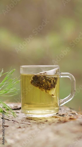 A clear glass mug with a brewed herbal teabag rests on a wooden log in the forest. Steam gently rises in the fresh air, evoking warmth, calm, and connection with nature