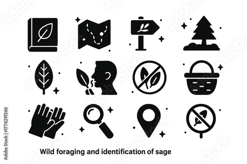 Sage Foraging Icons. Wild foraging and identification of sage. Solid icons set of Wild foraging and identification of sage: field guide book, terrain map,