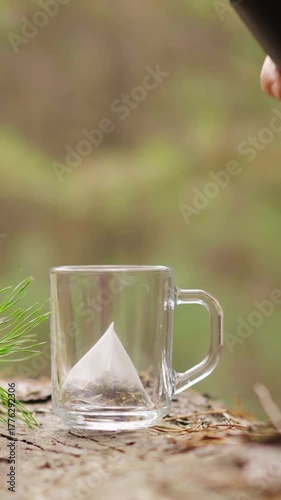 Vertical slow-motion shot of hot water pouring from a black thermos into a clear glass mug with a herbal teabag. Steam rises softly against a pine forest background, creating a calm, natural mood.