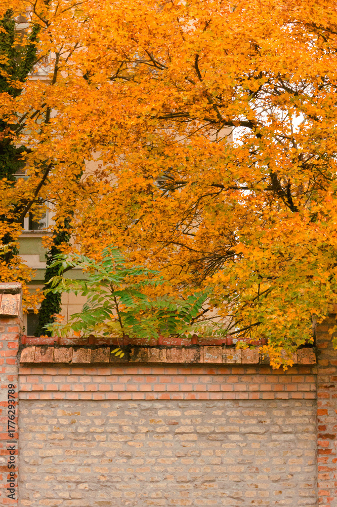 Naklejka premium traveling postcards