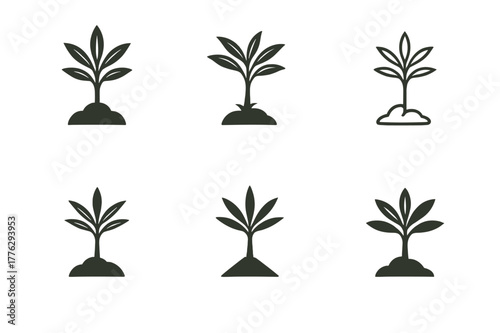Palm Sapling Logos. Palm sapling. Set Logo of Palm sapling: young palm sprout in soil. harmonious logo variations of the same emblematic concept, each with