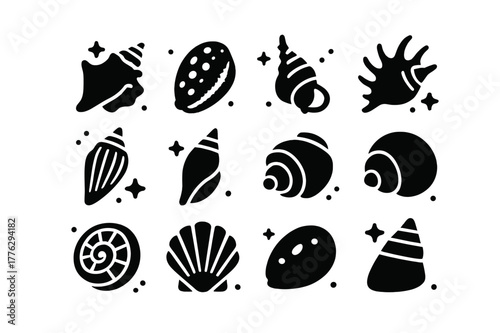 Tropical Shell Icons. Tropical Shells. Solid icons set of Tropical Shells: queen conch, tiger cowrie, triton trumpet, spider conch, harp shell, mitre shell,