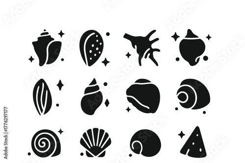 Tropical Shell Icons. Tropical Shells. Solid icons set of Tropical Shells: queen conch, tiger cowrie, triton trumpet, spider conch, harp shell, mitre shell,