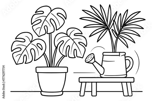 Tropical Plant Coloring Fun. Indoor tropical plants children?s coloring book illustration, outlined drawing, potted monstera and palm with a watering can on a