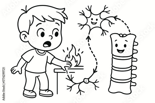 Reflex Action Coloring Page. Reflex action children?s coloring book illustration, outlined drawing, a cartoon kid touching something warm while a neuron signal