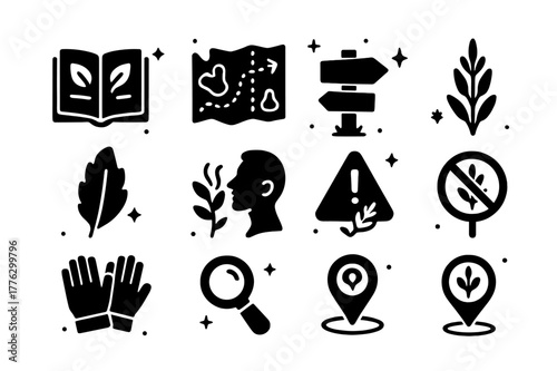 Sage Foraging Icons. Wild foraging and identification of sage. Solid icons set of Wild foraging and identification of sage: field guide book, terrain map,