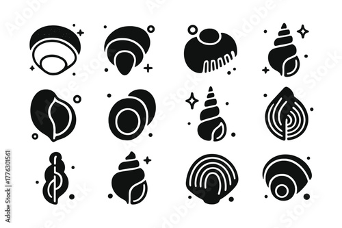 Shell Anatomy Icons. Scientific Study of Shells. Solid icons set of Scientific Study of Shells: periostracum, calcareous layer, umbo, hinge teeth, aperture,