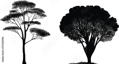 Monochrome silhouette of two deciduous trees on grassy horizon, sparse and dense canopies contrasting against white sky.