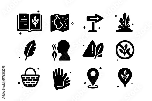 Sage Foraging Icons. Wild foraging and identification of sage. Solid icons set of Wild foraging and identification of sage: field guide book, terrain map,