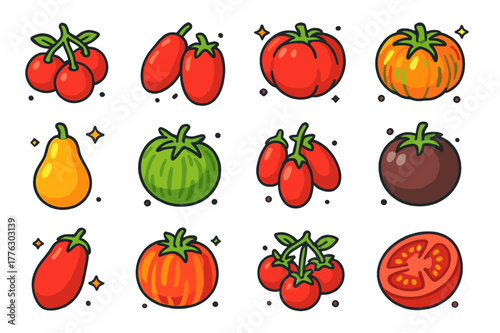 Colorful Tomato Varieties. Tomato varieties. Colorful isometric vector icons set of Tomato varieties: cherry tomatoes, plum tomatoes, beefsteak tomato,