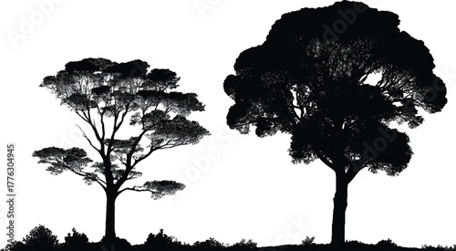 Monochrome silhouette of two deciduous trees on grassy horizon, sparse and dense canopies contrasting against white sky.