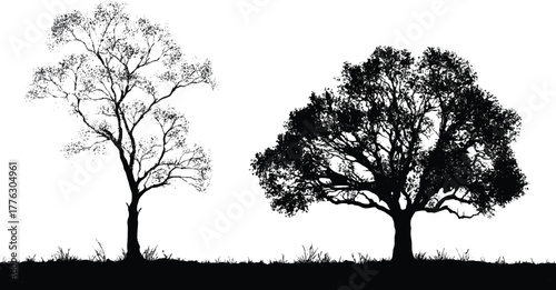 Monochrome silhouette of two deciduous trees on grassy horizon, sparse and dense canopies contrasting against white sky.