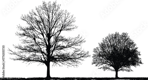 Monochrome silhouette of two deciduous trees on grassy horizon, sparse and dense canopies contrasting against white sky.