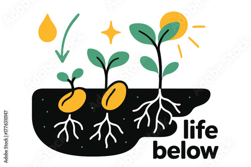 Roots and Shoots. Seeds ? Germination. Underground view of roots and shoots forming; thin arrows show water flow and light direction. Caption ?life below?.