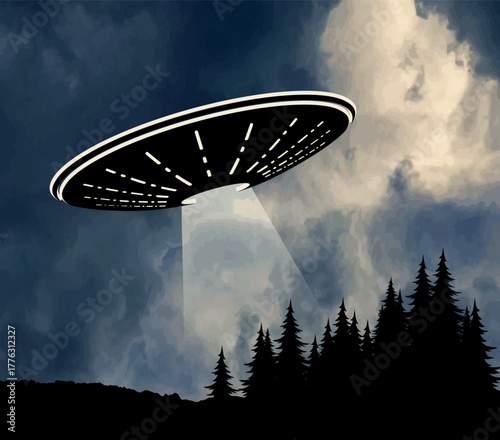 The landscape with UFO and night forest.
