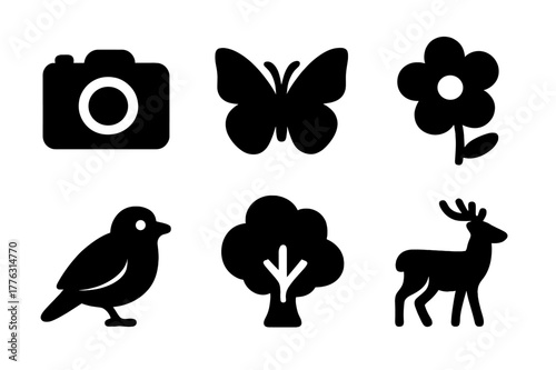 Nature Photography Icons. Nature photography (flora and fauna). Filled icon set of nature photography (flora