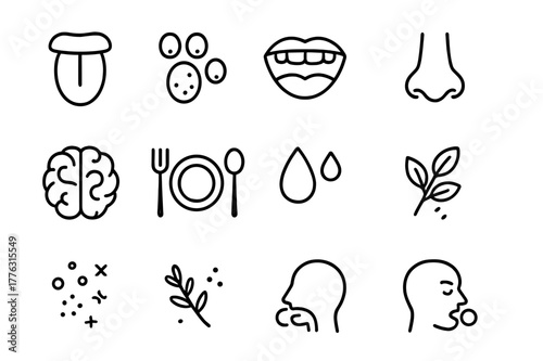 Eating Senses Icons. Eating senses. Line outline icon set of eating senses: tongue, taste buds, mouth, nose,
