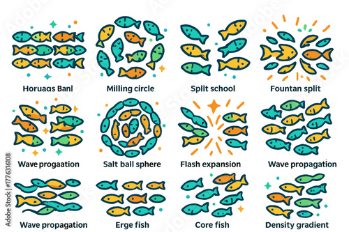 Colorful Schooling Formations. Schooling formations. Colorful isometric vector icons set of Schooling formations: polarized band, milling circle, split school,