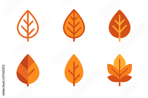 Autumn Leaf Logos. A close-up of colorful autumn leaves, showing rich shades of red, orange, and yellow. Set Logo of Autumn leaves: leaf vein pattern. Icon