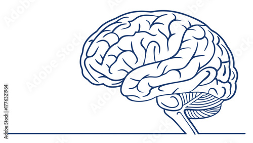 Striking brain illustration for science, medicine, and education materials, perfect for neuroscience, psychology, and healthcare projects that demand attention