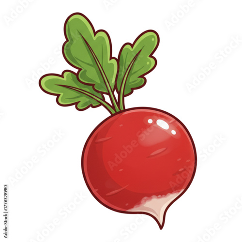 red radish