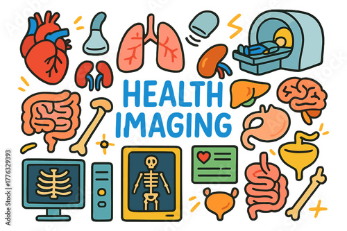Colorful Health Imaging Doodles. health imaging. Colorful Hand-drawn doodle Children illustration health imaging heart, lungs, liver, kidneys, stomach,