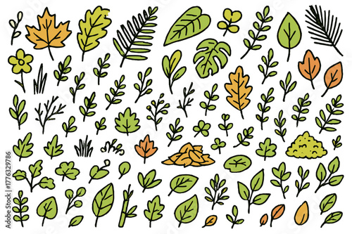 Colorful Leaf Variety. Variety of leaves. Hand-drawn doodle illustration maple leaves (colored), oak leaves (colored), fern fronds (colored), ivy (colored),